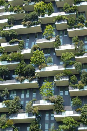 arquitectura edificio infraestructura cielo azul planta verde