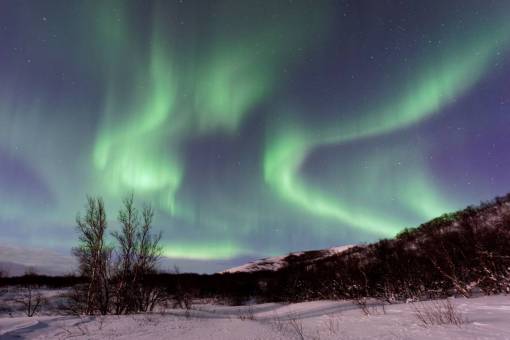 aurora aurora verde cielo árbol plantas naturaleza tierras altas