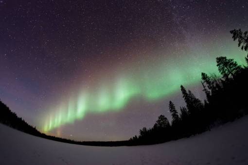 atmosfera aurora verde estrellas cielo atmósfera árbol plantas