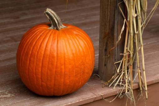 pumpkin autumn  pumpkin  decoration  fall  house  porch  steps