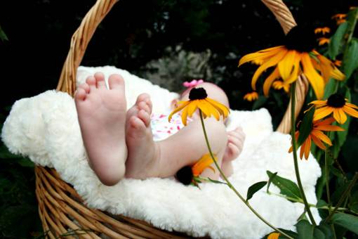 pies pies de bebe cesta flores familia