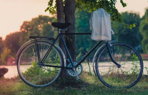 hanger bike  bicycle  shirt  clothes  drying  hanger  park