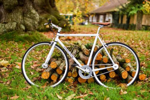 bike  bicycle  woods  log  green  grass  outdoor