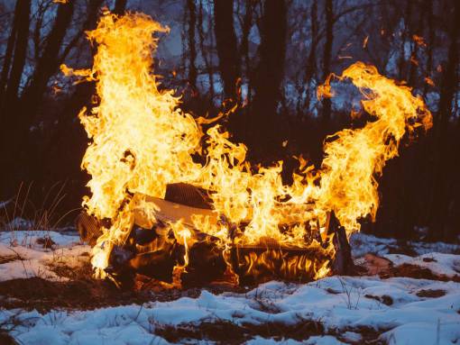 hoguera fuego llamas madera troncos nieve naturaleza