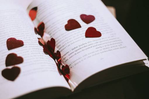 leer libro pétalos rosa corazón novela texto historia