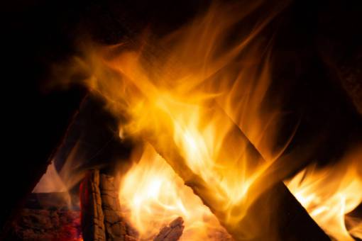 warmth camp  fire  flames  night  firewood  burning  warm