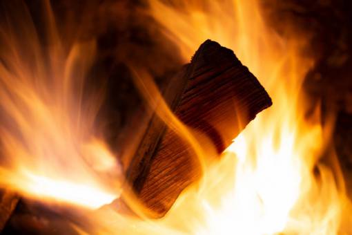 warmth camp  fire  flames  night  firewood  burning  warm