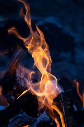warmth camp  fire  wood  nature  hot  orange  yellow