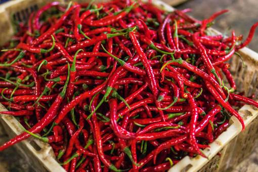 mexico mercado de chiles alimentos orgánicos pimienta verdura fresca