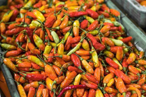 mexico mercado de chiles alimentos orgánicos pimienta verdura fresca