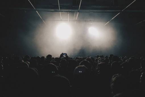 crowd  audience  people  event  concert  music  fans