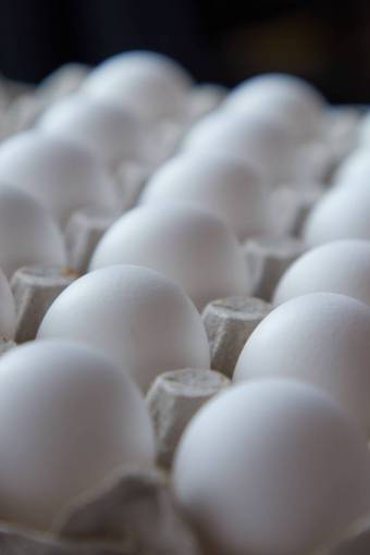 boys eggs  carton  food  white  ingredient  chicken  assortment