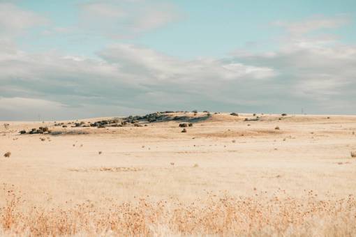 altiplano field  dry  drought  highland  landscape  view  sky