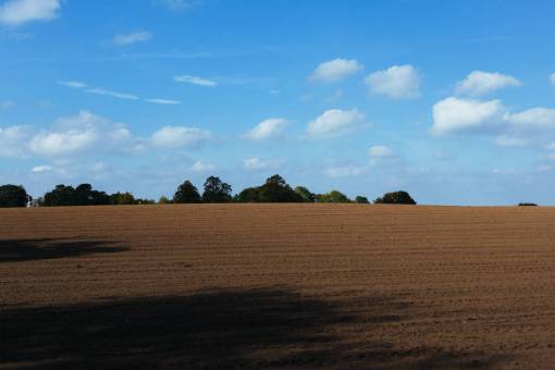 suciedad campo granja tierra tierra árboles cielo azul