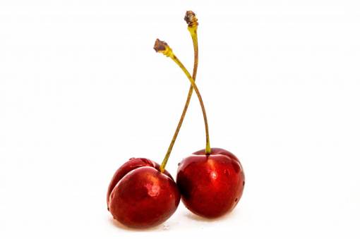stalks food  fruits  cherries  graphic  stem  stalk  red
