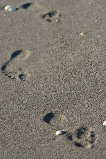 seaside footprints  sand  beach  barefoot  foot  travel  leisure
