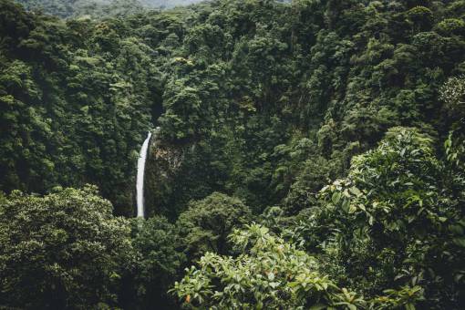 waterfall bosque naturaleza plantas árboles verdes cascadas al aire libre