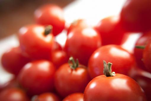 fresh  tomatoes  close up  garden  vegetable  fruit  food