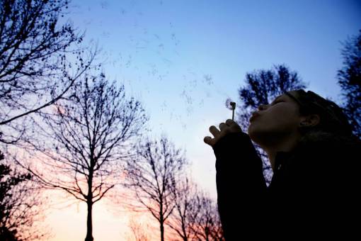 soplado niña mujer mujer soplando árboles cielo gente