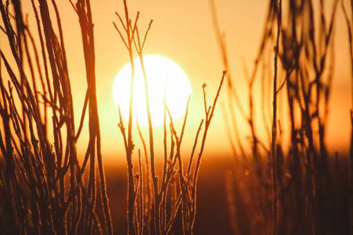 puesta del sol hierba planta al aire libre naturaleza luz puesta de sol luz solar