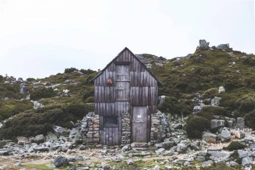 grama verde árvores planta casa pedras céu