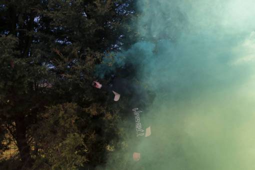 ver humo árboles verdes planta naturaleza humo al aire libre