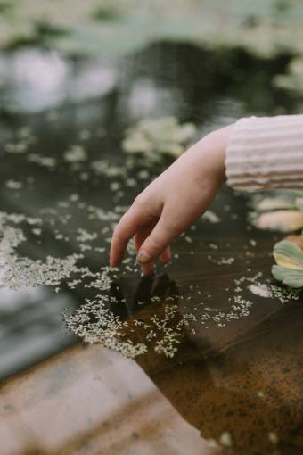 hand  flower  water  blur  bokeh
