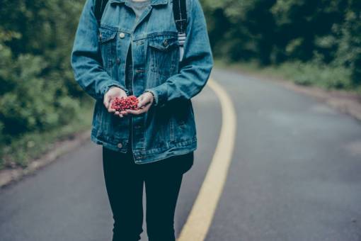 mezcla manos bayas gente denim chaqueta de jean carretera naturaleza