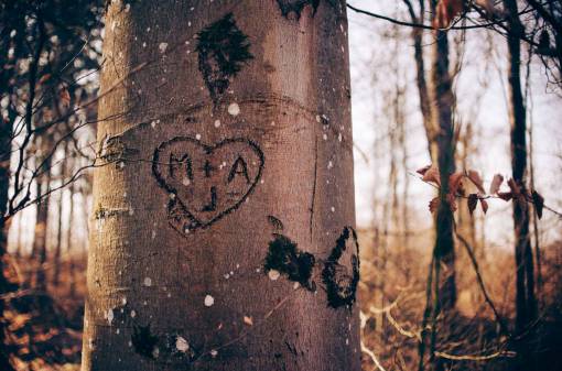 embarque corazón árbol de amor embarcarse bosque bosque pareja