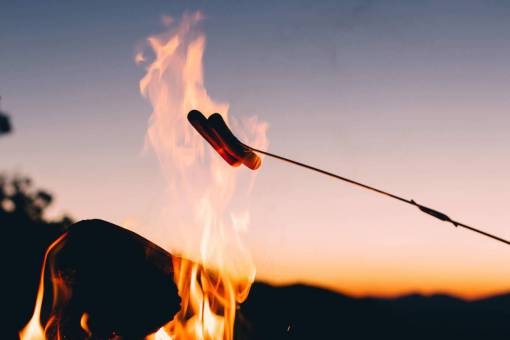 asado perrito caliente asado fuego palo hoguera cena desayuno