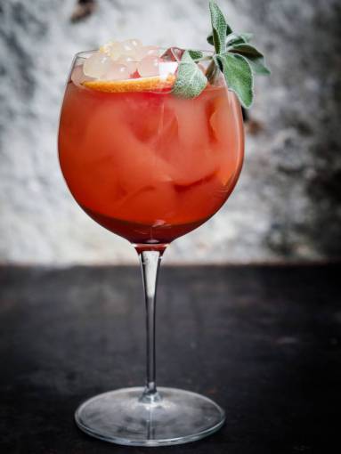 presentation-speech juice  red  leaves  presentation  ice  glass  drinks