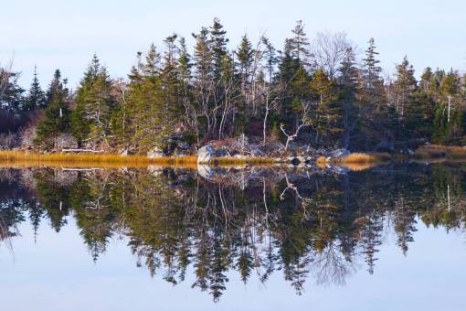 pond lake  reflection  landscape  shore  trees  forest  sky