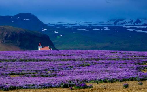 paisaje de invierno campo de lavanda granja al aire libre naturaleza jardín paisaje