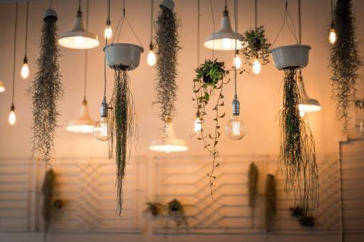 luces lámpara diseño arte estética planta orquídeas