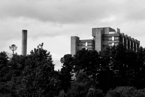 daytime monochrome  building  exterior  factory  trees  industrial  architecture