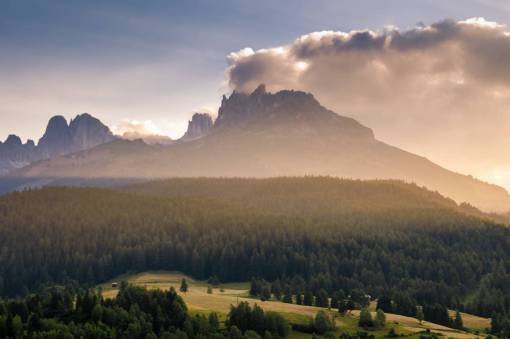 mountains  trees  forest  grass  nature  landscape  sunset