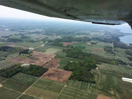 loto naturaleza avión avión aéreo árboles campo verde