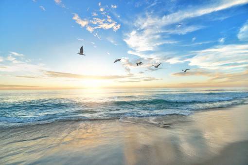 frank nature  beach  shore  sand  water  ocean  sky