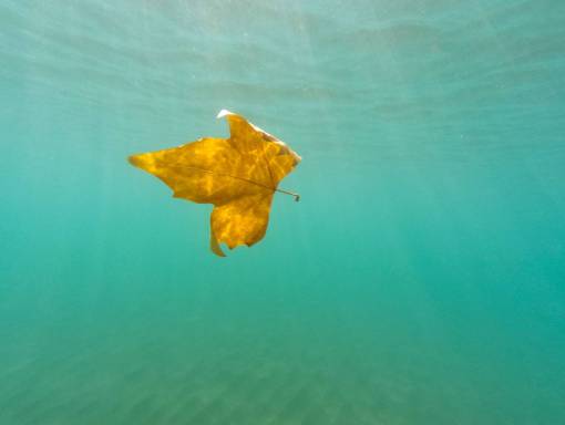 bajo naturaleza paisaje agua océano mar sol bajo el agua