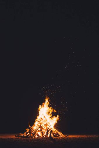 bonfire night  bonfire  fire  woods  travel  beach  sand
