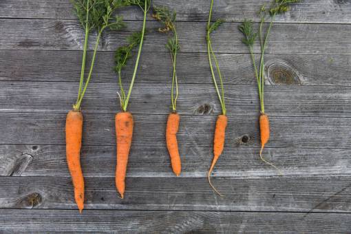 orange  carrots  vegetables  healthy  food  wood
