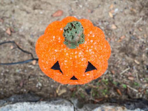 pumpkin orange  jewels  pumpkin  halloween
