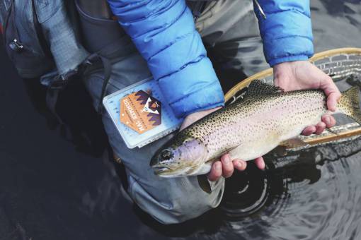 pesca gente pez agua captura aleta