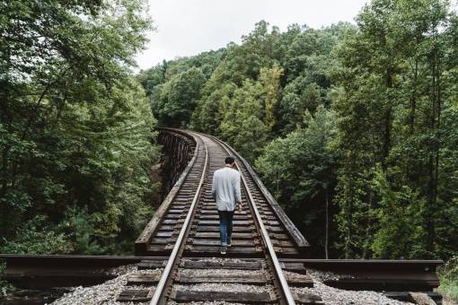 track-and-field people  man  alone  walking  travel  trees  green