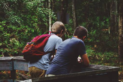 buda gente hombres amigos viajes aventuras árboles bosques
