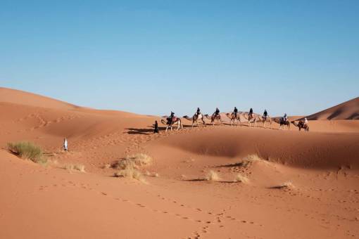 camello la gente monta caminando camello desierto huellas marrones