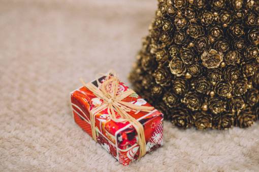 carpet-of-leaves pine  cone  christmas  tree  ornament  decoration  gift