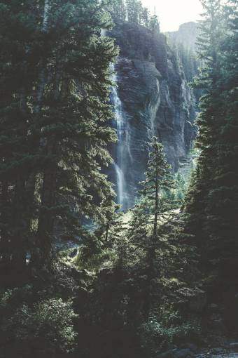 waterfall pinos hojas bosque colina rocas agua
