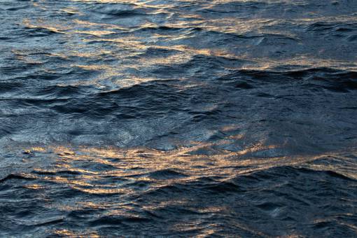 current-events rippled  water  lake  waves  sunlight  reflections  current