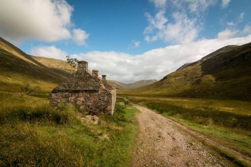 grassland road  path  green  grass  nature  highland  grassland